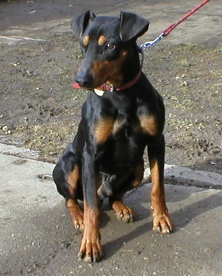 O0003.jpg